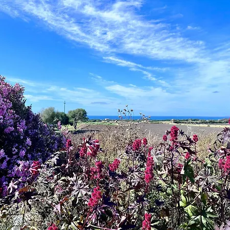Appartamento Purple House Valledoria (Sardinia)
